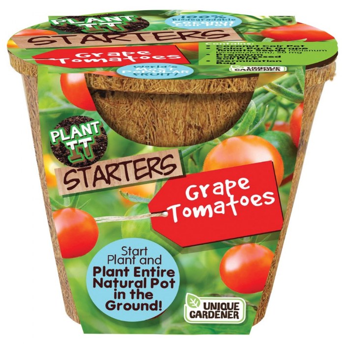 Alternate Image #1 of Plant-It Starters Vegetables and Herb - Set of 3