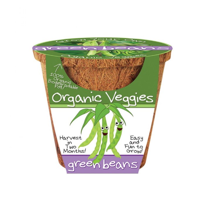 Primary Image of Organic Green Bean