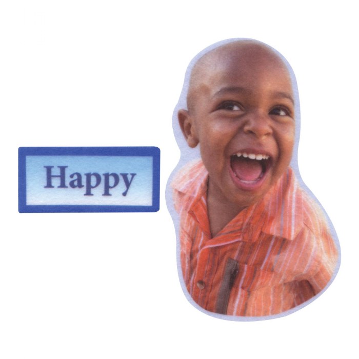 Alternate Image #1 of Emotions Felt Set - 24 Pieces