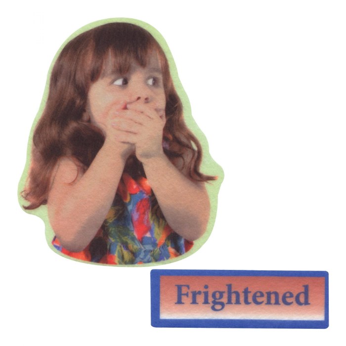 Alternate Image #1 of Emotions Felt Set - 24 Pieces