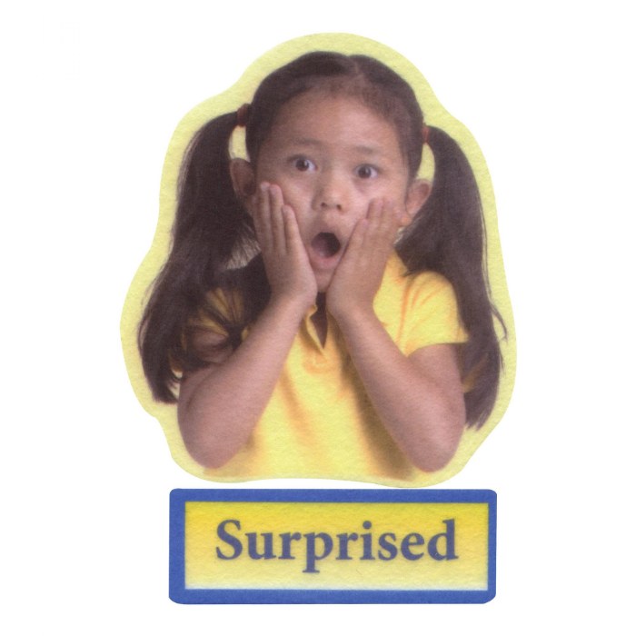 Alternate Image #1 of Emotions Felt Set - 24 Pieces