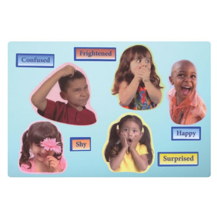 Primary Image of Emotions Felt Set - 24 Pieces