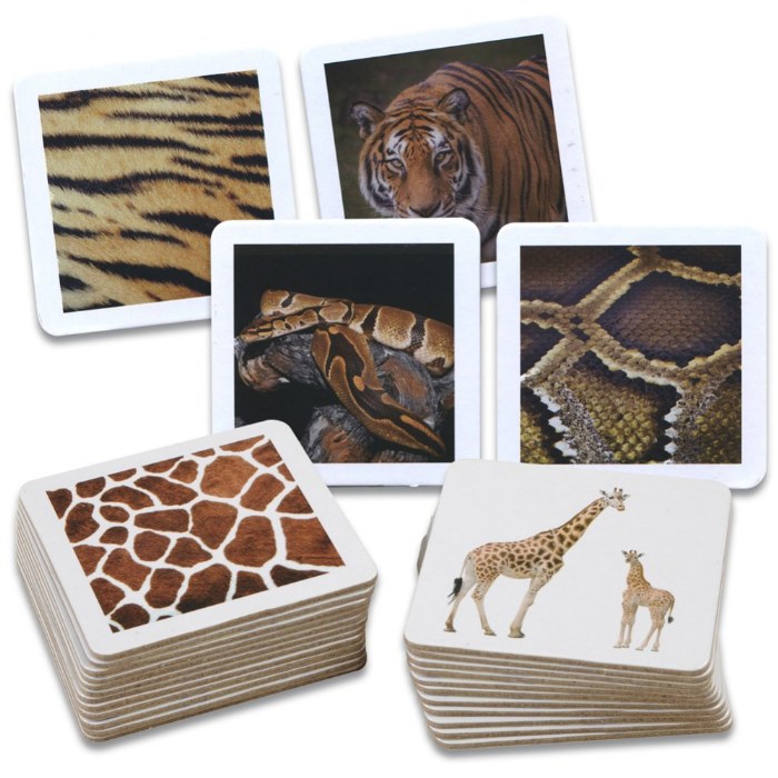 Primary Image of Animal Skin Picture Cards