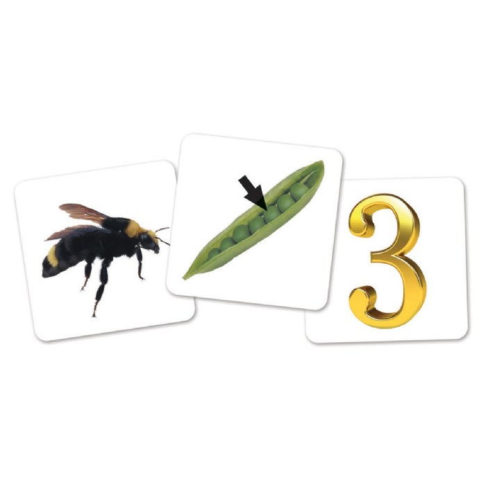 Alternate Image #1 of Rhyme & Sort Rockets