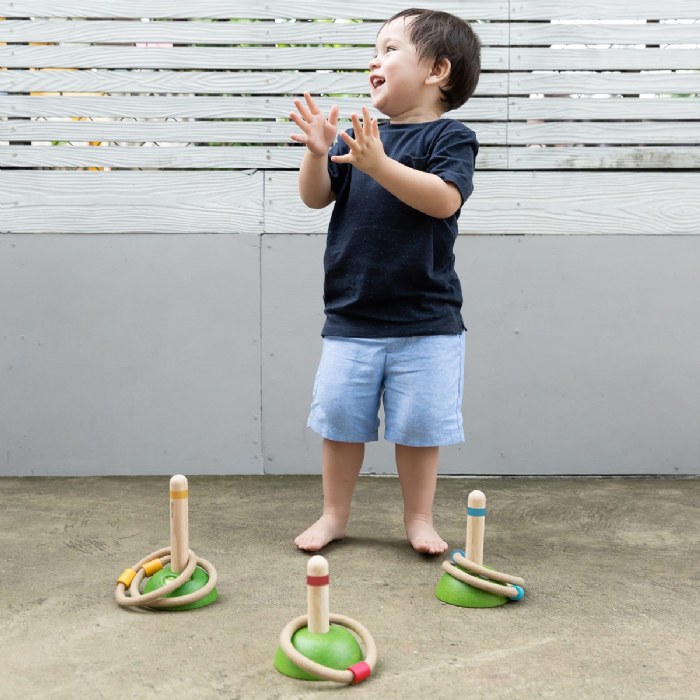 Alternate Image #1 of Meadow Ring Toss Game