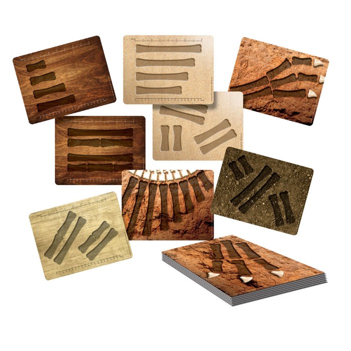 Primary Image of Dinosaur Bones Match & Measuring Cards - Set of 16