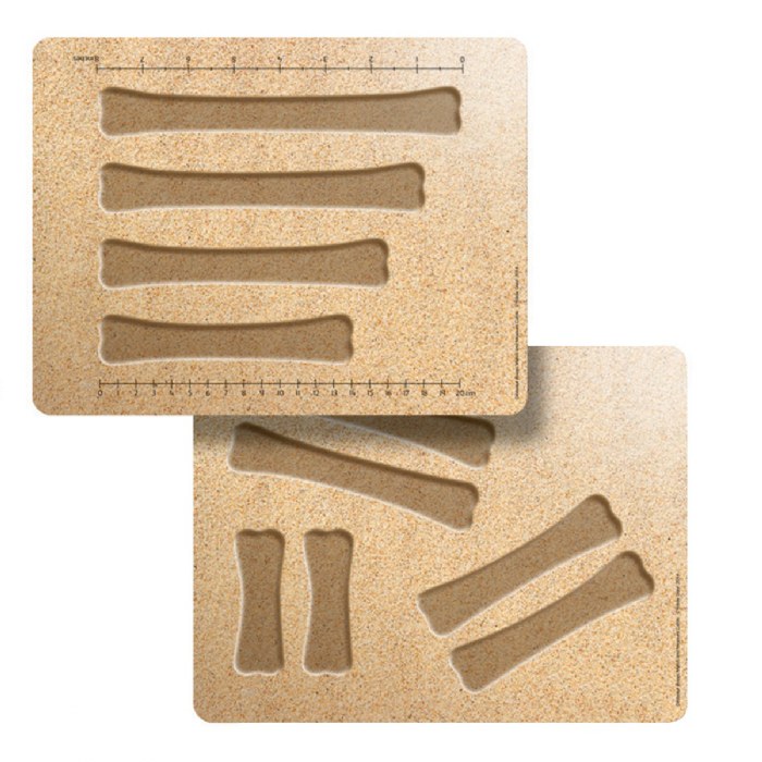 Alternate Image #1 of Dinosaur Bones Match & Measuring Cards - Set of 16