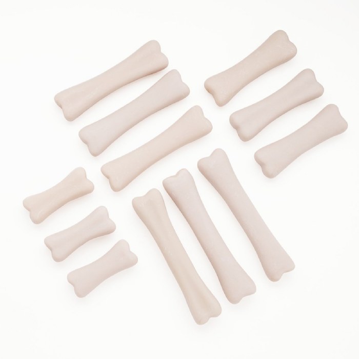 Alternate Image #1 of Dinosaur Bones Match & Measure Set