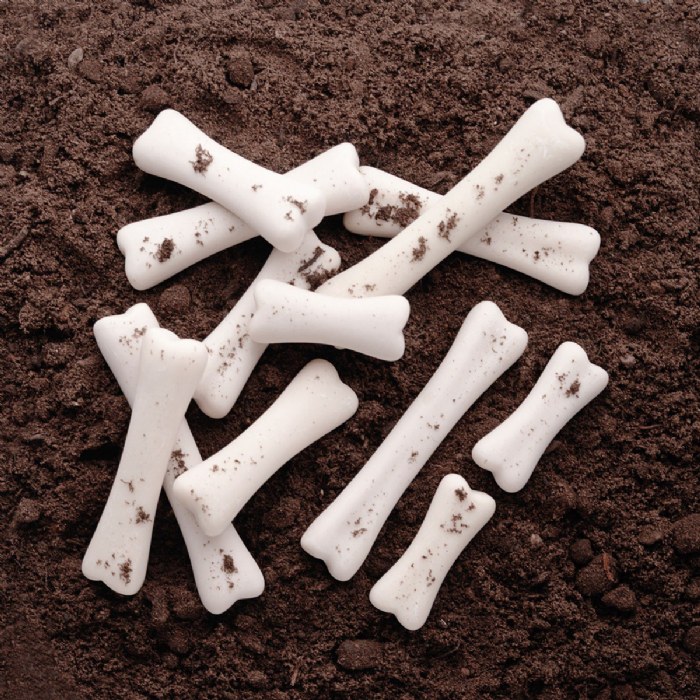 Alternate Image #1 of Dinosaur Bones Match & Measure Set