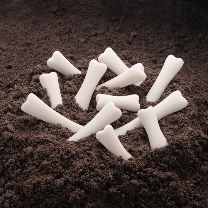 Alternate Image #1 of Dinosaur Bones Match & Measure Set