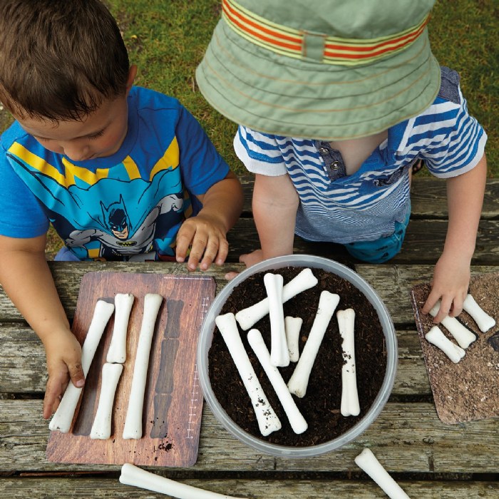 Alternate Image #1 of Dinosaur Bones Match & Measure Set