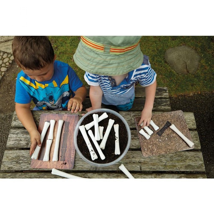 Primary Image of Dinosaur Bones with Match & Measuring Cards Set