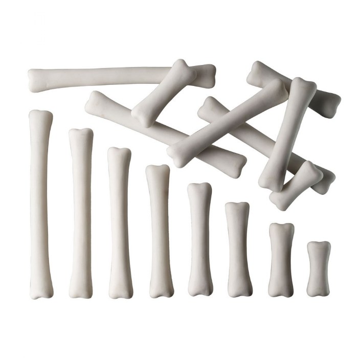 Primary Image of Dinosaur Bones Match & Measure Set