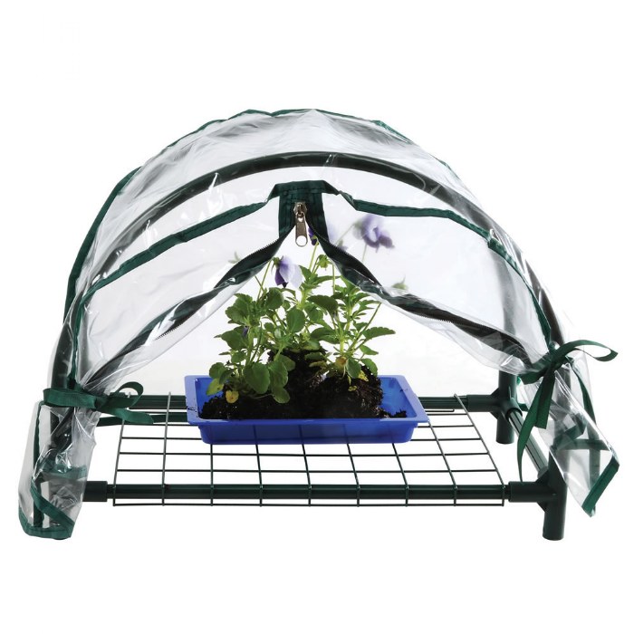 Primary Image of Mini Greenhouse with Cover