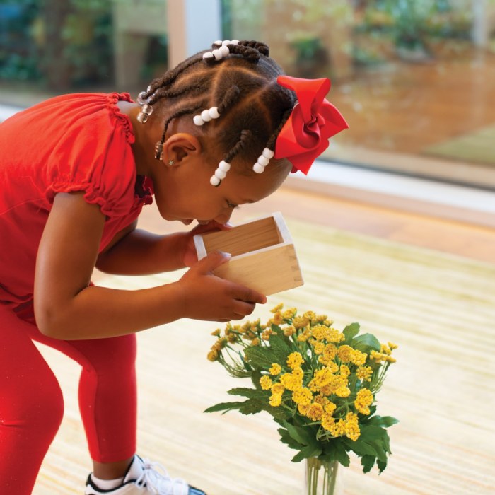 Alternate Image #1 of Wooden Magnification Stacking Blocks - 6 Pieces