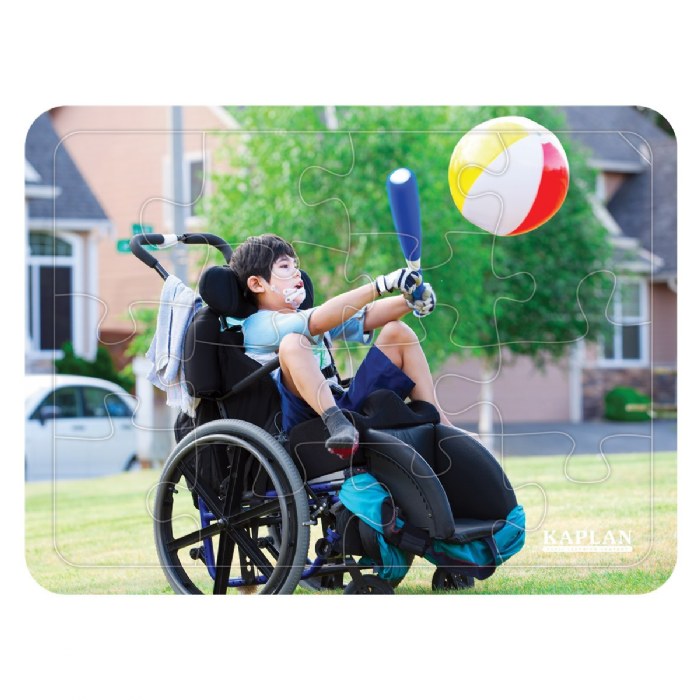 Alternate Image #1 of Differing Abilities Puzzles - Set of 4