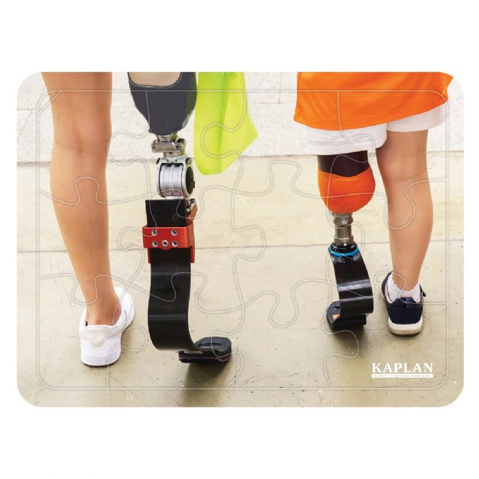 Alternate Image #1 of Differing Abilities Puzzles - Set of 4