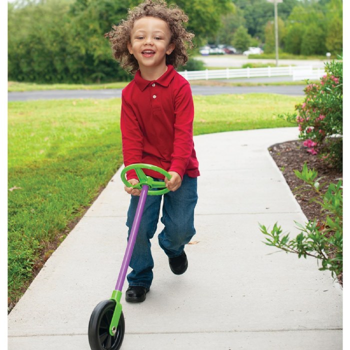 Alternate Image #1 of Push and Pull Go Wheelie
