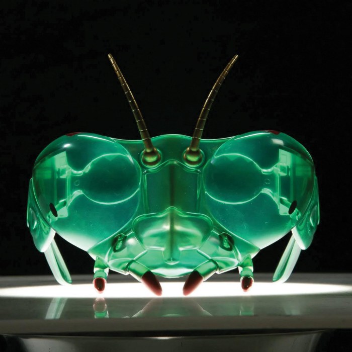 Alternate Image #1 of Buzzerks&reg; Bug Goggles - Ant Eyewear