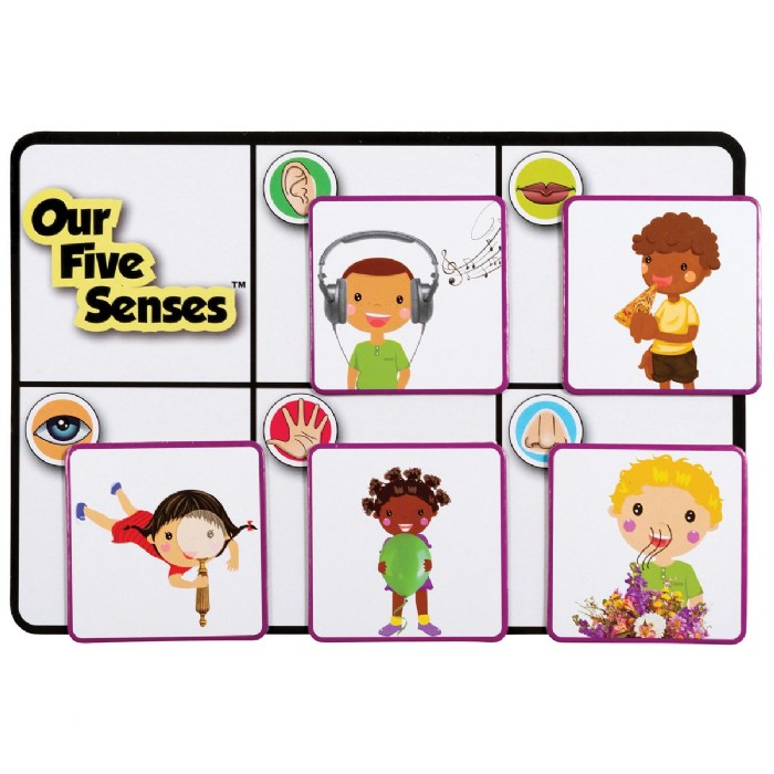 Alternate Image #1 of Our Five Senses