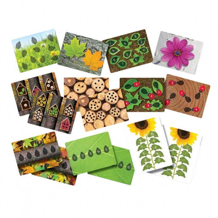 Primary Image of Ladybug Activity Cards - 16 Cards
