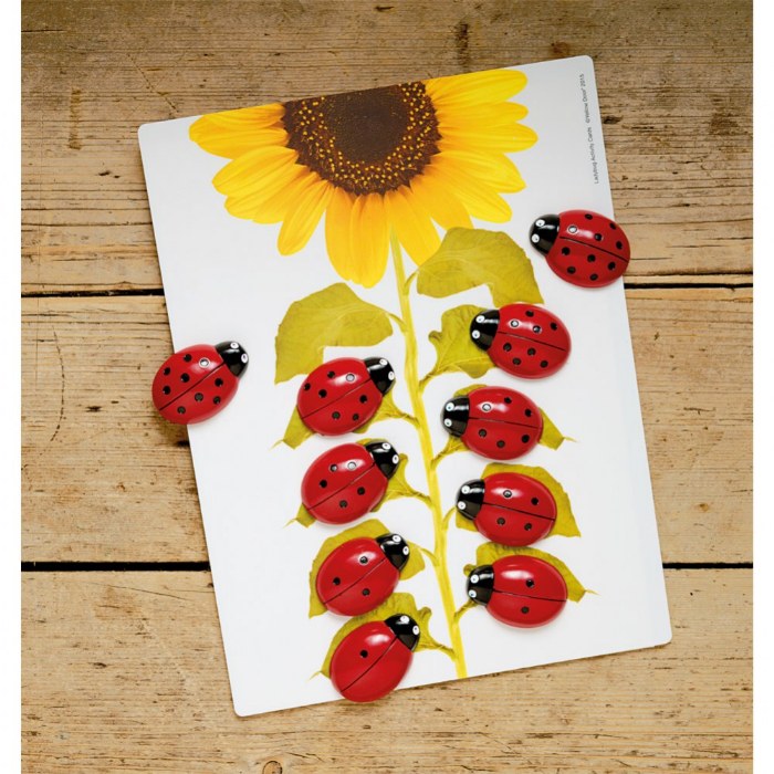 Primary Image of Ladybug Stones and Activity Cards