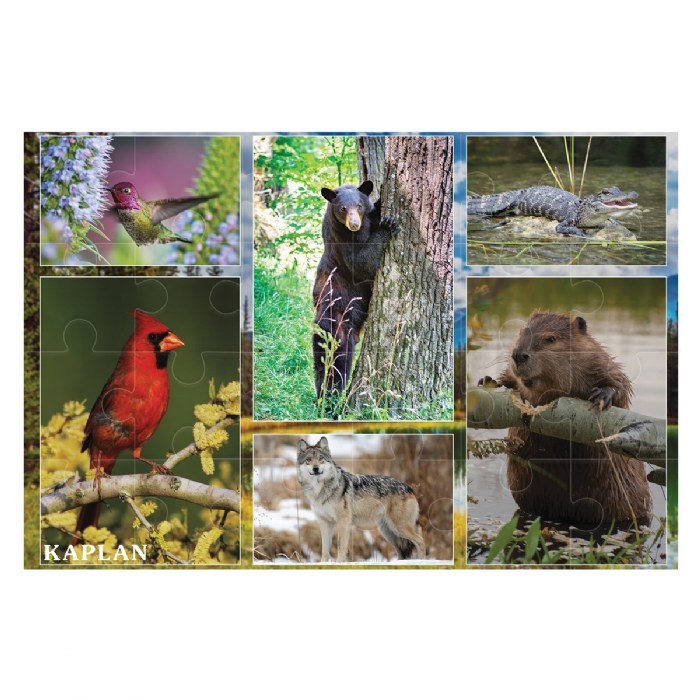 Alternate Image #1 of Wild and North American Animals Floor Puzzles - Set of 2