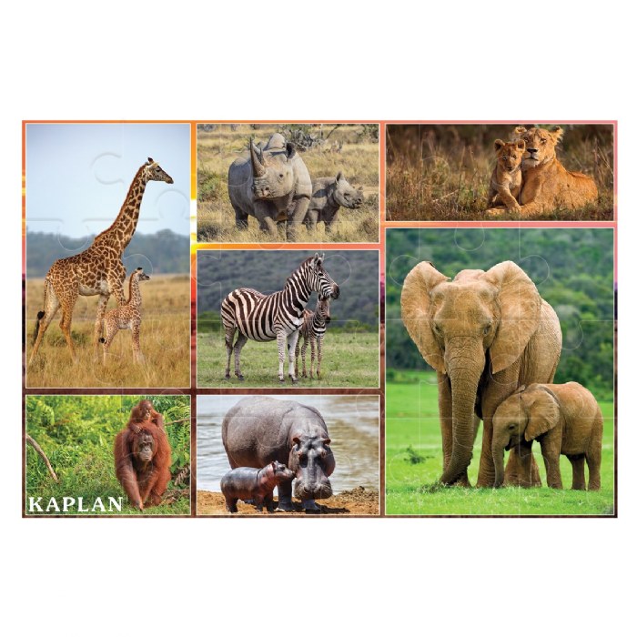 Alternate Image #1 of Wild and North American Animals Floor Puzzles - Set of 2