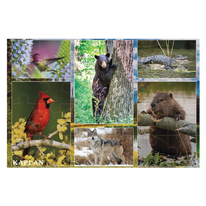 Primary Image of North American Animals Floor Puzzle - 24 Pieces
