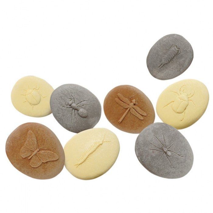 Primary Image of Play & Explore Bug Stones - 8 Pieces