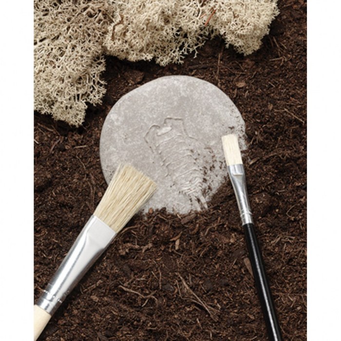 Alternate Image #1 of Play & Explore Bug Stones - 8 Pieces