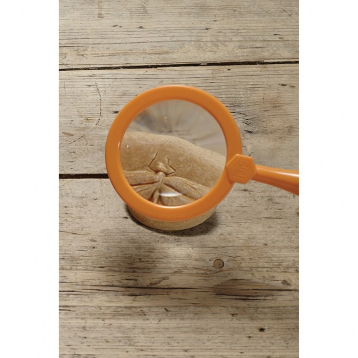 Alternate Image #1 of Play & Explore Bug Stones - 8 Pieces