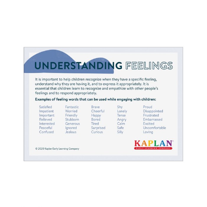 Alternate Image #1 of Understanding Feelings Learning Kit