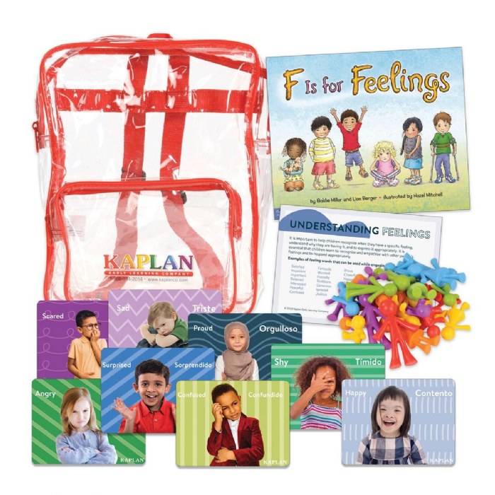 Primary Image of Understanding Feelings Learning Kit
