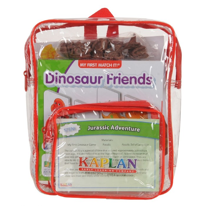 Alternate Image #1 of Jurassic Adventure STEM Learning Interactive Take Home Activities Kit