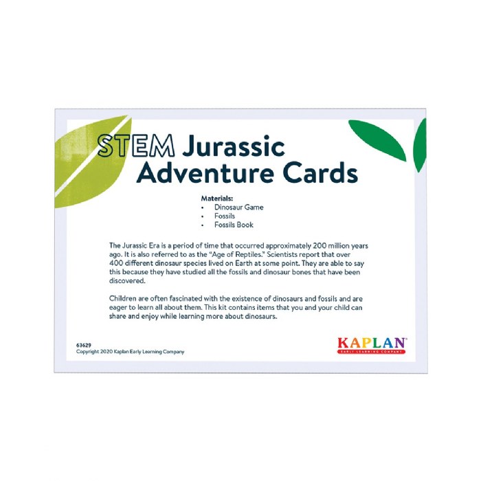 Alternate Image #1 of Jurassic Adventure STEM Learning Interactive Take Home Activities Kit