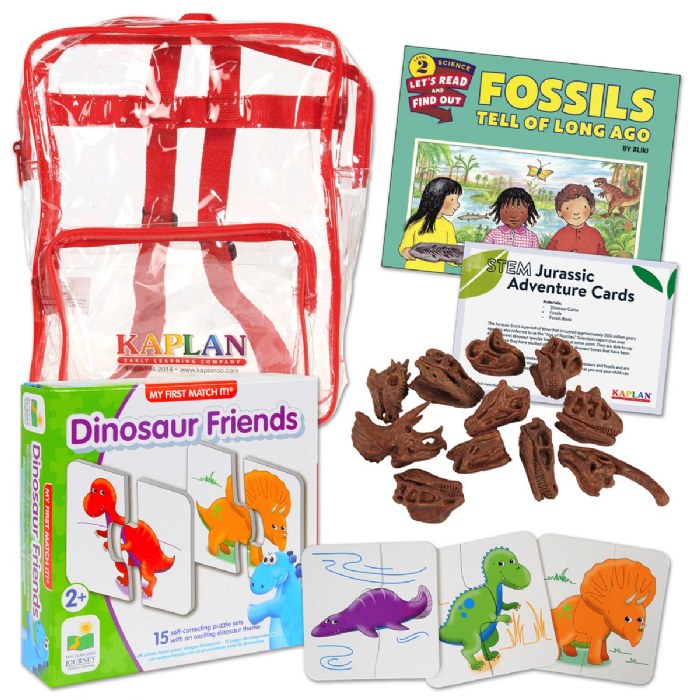 Primary Image of Jurassic Adventure STEM Learning Interactive Take Home Activities Kit