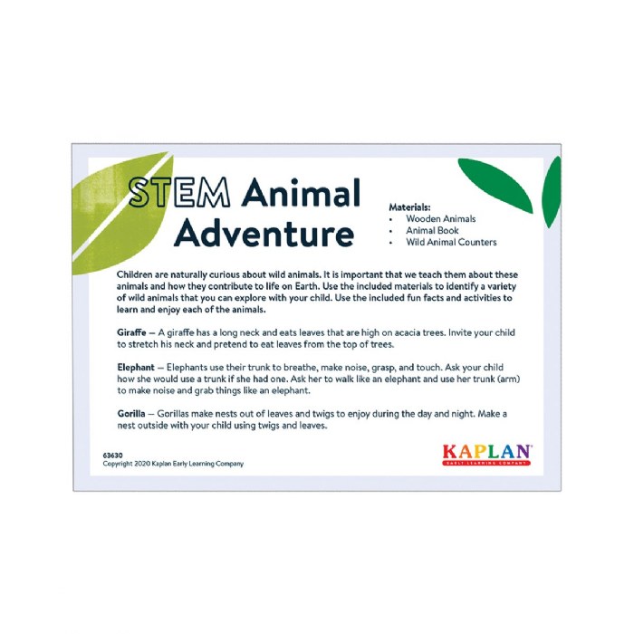 Alternate Image #1 of Animal Adventure STEM Learning Kit