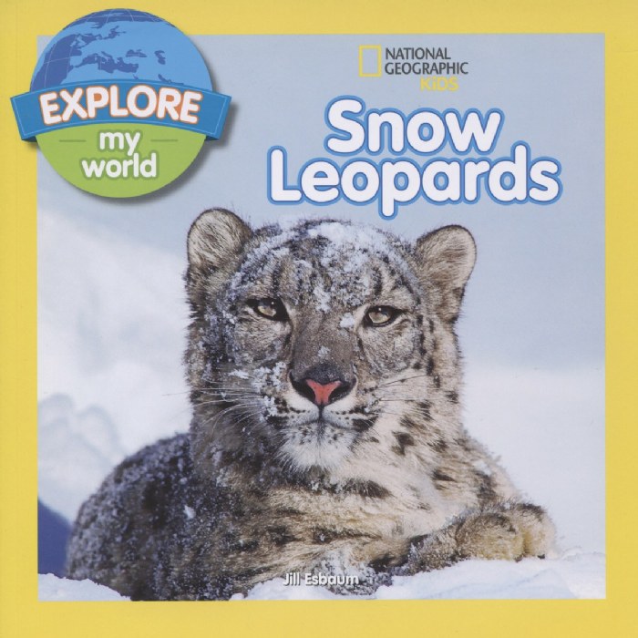 Alternate Image #1 of Animal Adventure STEM Learning Kit