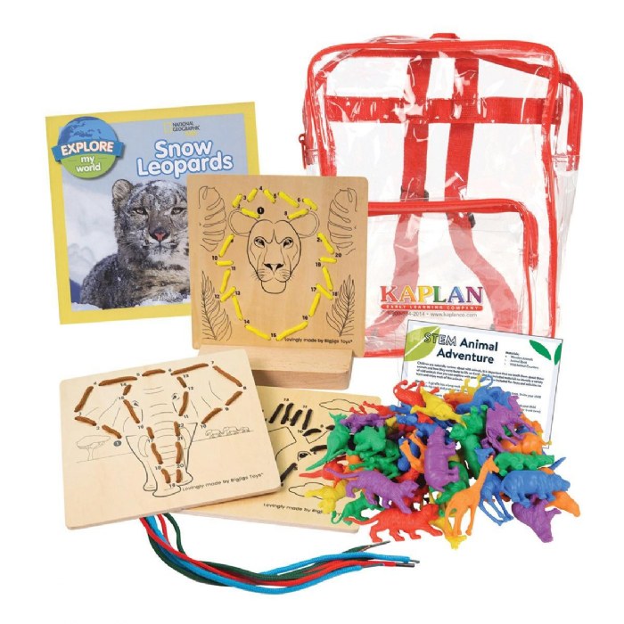 Primary Image of Animal Adventure STEM Learning Kit