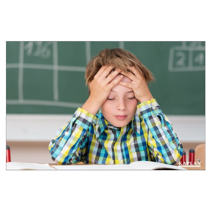 Alternate Image #1 of Social and Emotional High Quality Classroom Poster Set - Set of 12