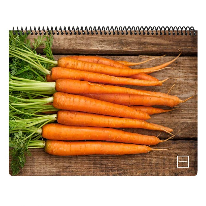 Alternate Image #1 of Writing Readiness Prewriting Skills Book - Dry-Erase