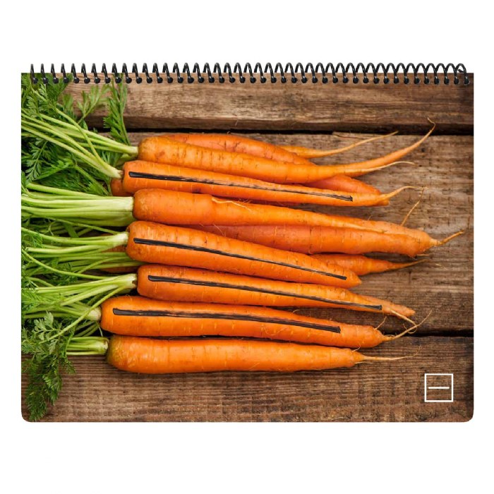 Alternate Image #1 of Writing Readiness Prewriting Skills Book - Dry-Erase