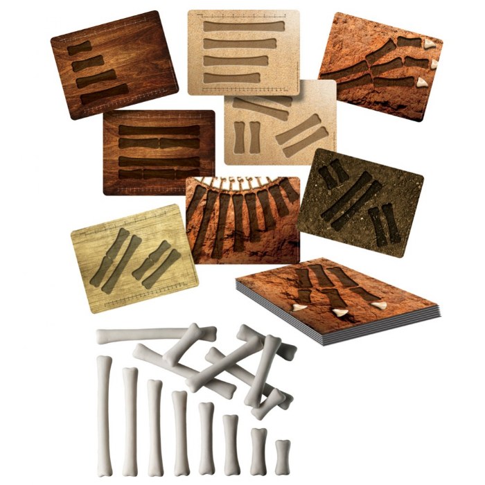 Primary Image of Dinosaur Bones with Match & Measuring Cards Set
