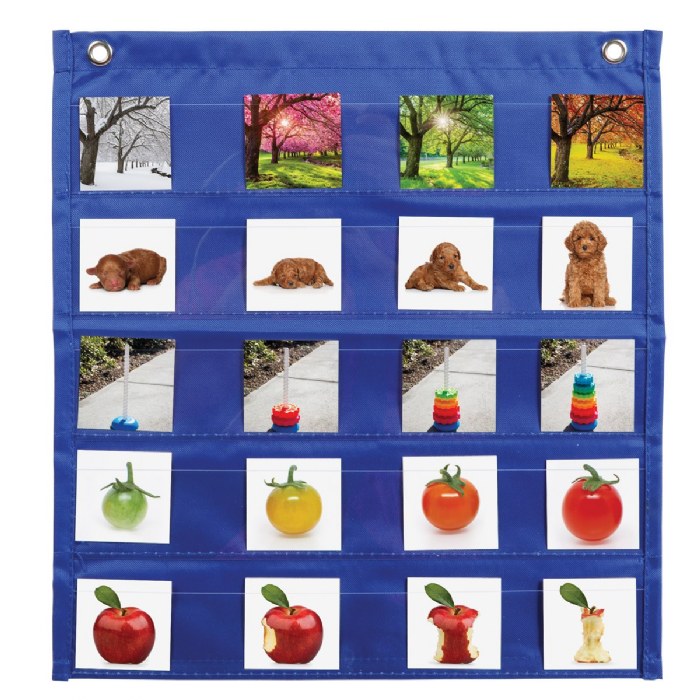 Alternate Image #1 of Sequencing Stories