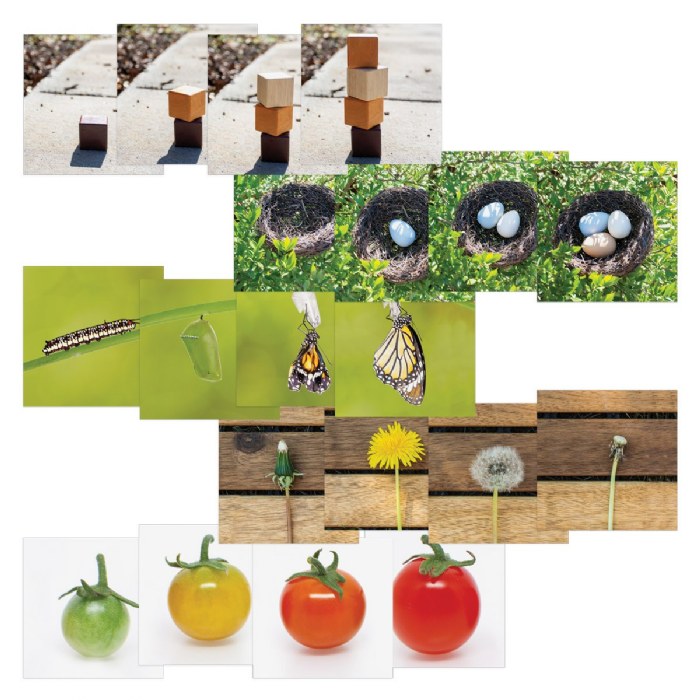 Primary Image of Sequencing Stories