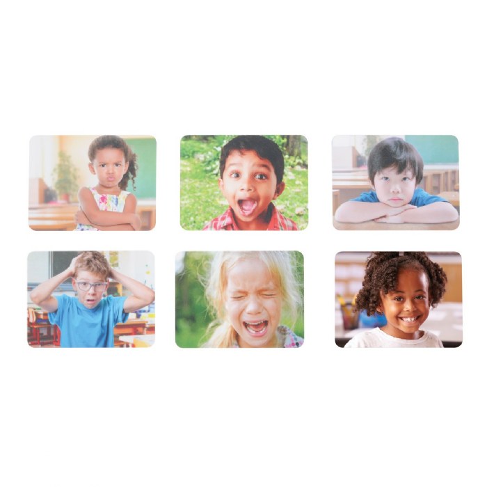 Alternate Image #1 of Identifying Feelings Classroom Set with Activities and Guide