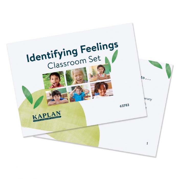 Alternate Image #1 of Identifying Feelings Classroom Set with Activities and Guide