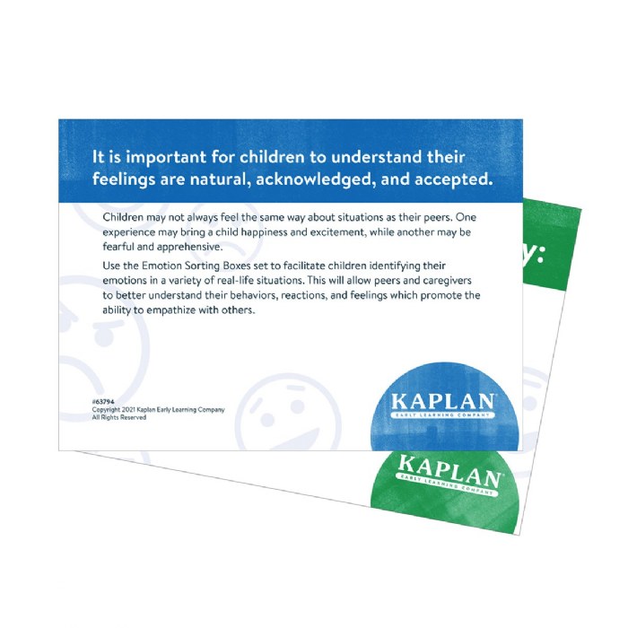 Alternate Image #1 of Emotion Sorting Boxes