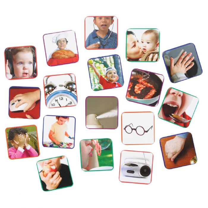 Alternate Image #1 of Our Five Senses Interactive Game